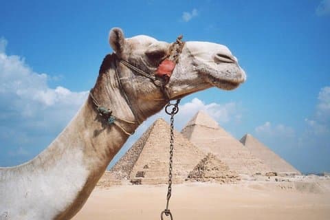 Privat tur: Pyramiderne i Giza, sfinksen, Memphis, Sakkara