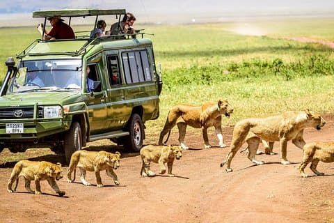Hoteller i nærheden af Manyara, Ngorongoro & Tarangire