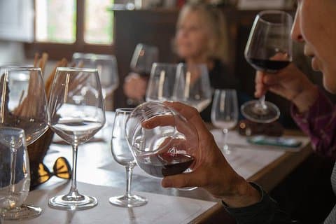 De Florence au Chianti Rufina: expérience de dégustation de vin