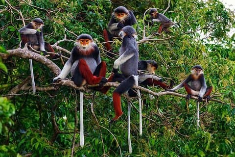 Hue nach Dn/Hoi An : Hai Van Pass, Strände & Mt Monkey oder umgekehrt