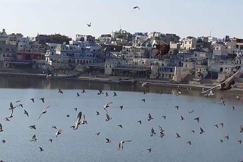 Uforglemmelig 11-dages guidet gyldne trekant-tur fra Bangalore