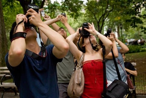 Central Park Photography Tour with Local Photographer