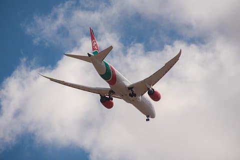 Recogida en el aeropuerto hasta el Parque Nacional Nairobi / Devolución
