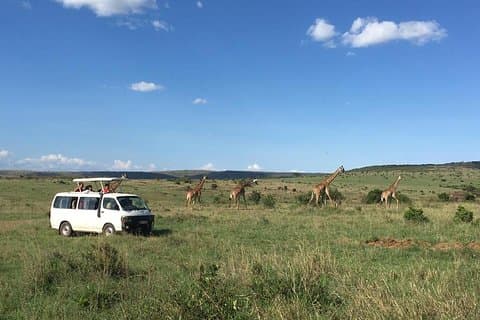 3 dagen Masai Mara