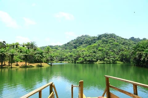 Magoroto Forest Reserve(3 Days)