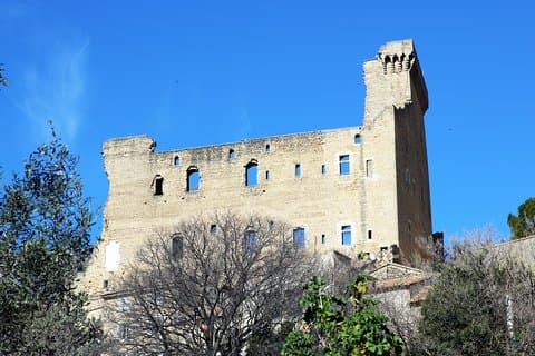 Avignon historia, lokal kultur och vinen av Châteauneuf du Pape privat rundtur