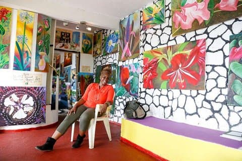 Ahhh Ras Natango Gallery en tuin Privérondleiding en vervoer