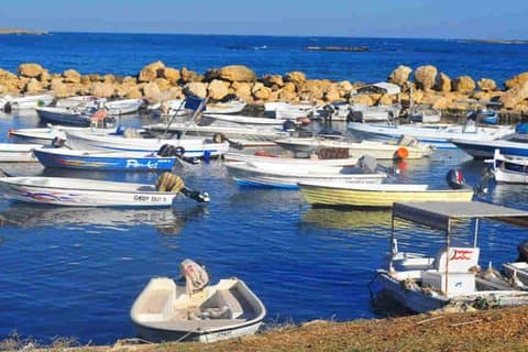 Tour di Tripoli e Batroun per piccoli gruppi da Beirut | Pranzo incluso
