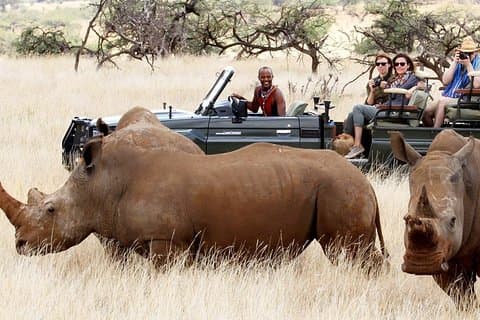 Maasai Mara Road Safari 2 Nächte 3 Tage Gruppenmitgliedschaft