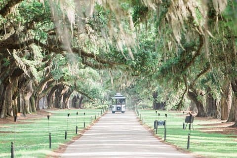 Biglietto d'ingresso per l'accesso illimitato alla Boone Hall Plantation