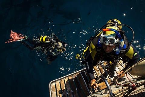 Scuba Diving Courses or Try Diving PADI or SSI