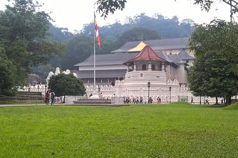 Kandy Day Tour vanuit Colombo
