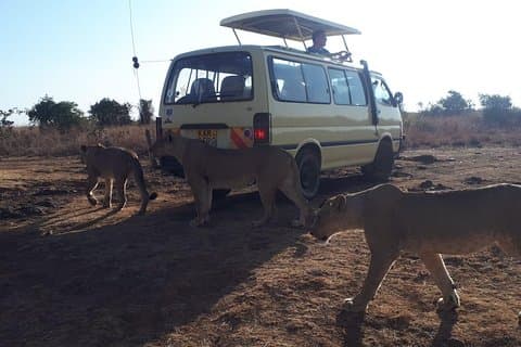 Tour Nairobi nasjonalpark