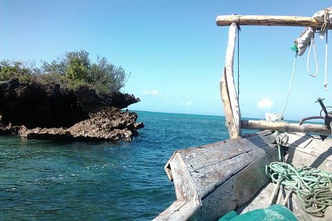 Journée de croisière sur les bancs de sable et l'île de Kwale