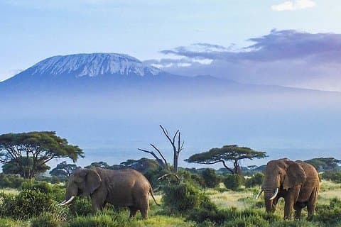 7 giorni di salita sul Kilimanjaro Machame Route Climb.
