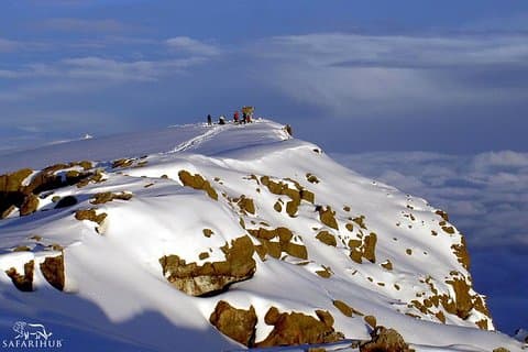 8 giorni di salita sul Kilimanjaro Lemosho