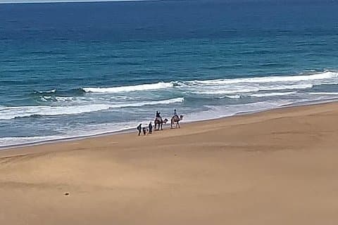 Excursion d'une journée à Asilah et Tanger