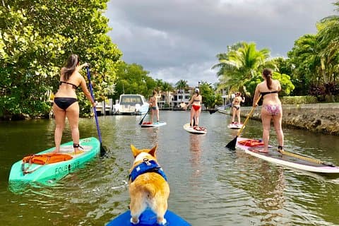 SUP PUP Paddleboard Tour
