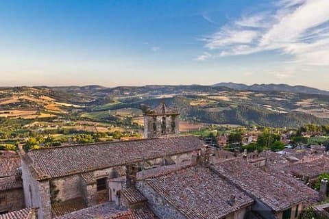 Paseo en carruaje por los viñedos - almuerzo - Tour de Montefalco