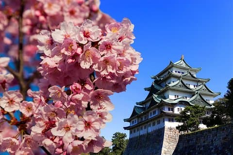 Nagoya Full-Day Tour with a Local- 100% Personalized & Private