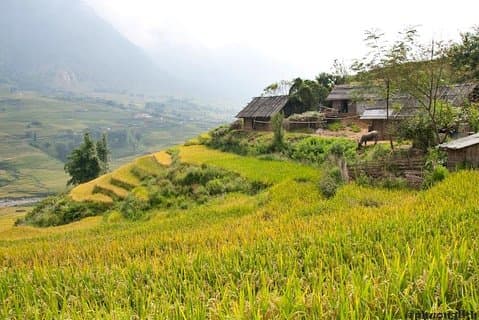 Sapa Trek Oplev 2 Dage ved Homestay