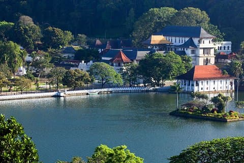 Todo Kandy en un Día : Tour Privado en Coche con Aire Acondicionado