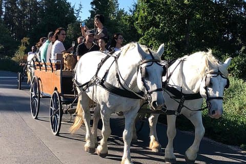 1h – Carriage Trail