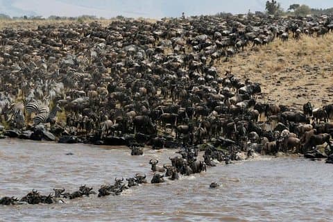 Private 9 Days Kenya Classic Lodge Safari
