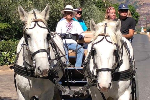 1h30m – Cata de Vinos Ruta en Carruajes