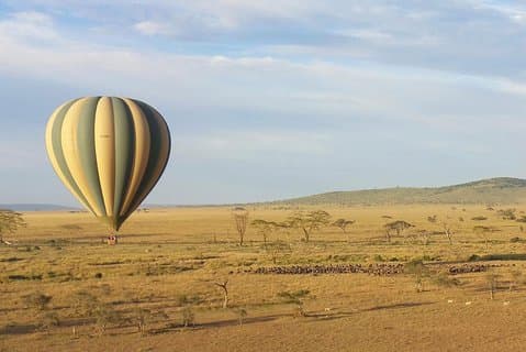 Serengeti Balloon Safari et authentique petit-déjeuner dans la brousse