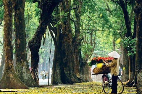 Giornata intera | Hanoi City Tour