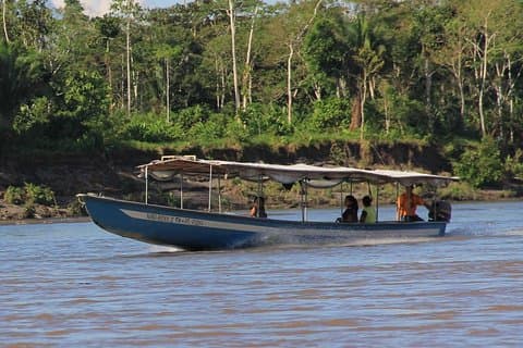 Tour Amazon Yasuni 2D - 1N