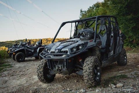 Laurentians: Guided buggy tour in the forest