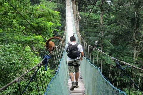 2 days 1 night – Peruvian Tambopata Jungle