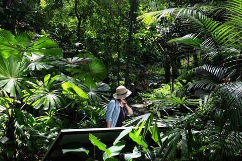 Penang Half Day City Tour Including Tropical Spice Garden