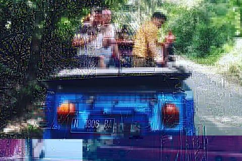 1 heure VW Explorez Ubud - Ubud VW Tour