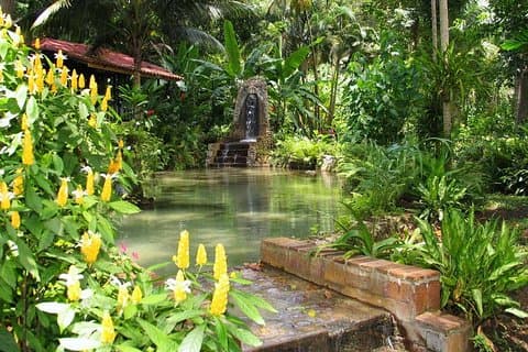 Konoko Falls und Park Private Tour