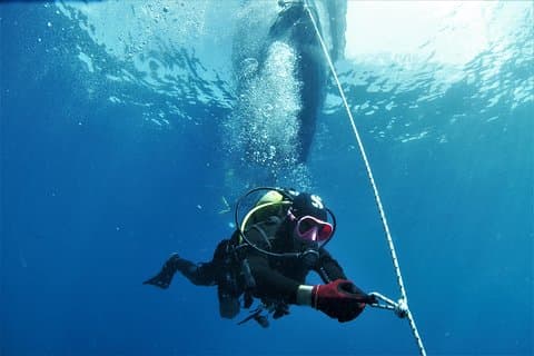 Gran Canaria 3 dager / 6 dykk på forskjellige steder