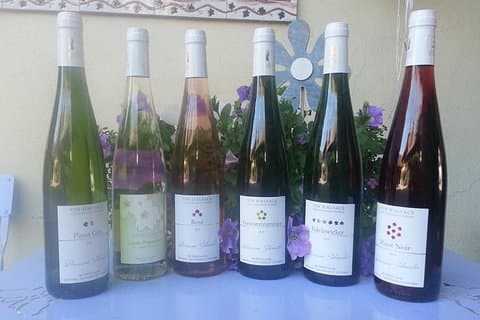 Winemaker's aperitif with Wine Tour and Wine Tasting