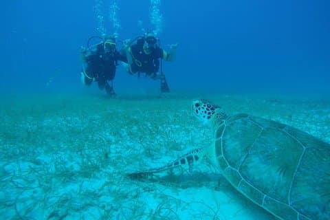 Upptäck Fajardo: 2-Tank Scuba Diving