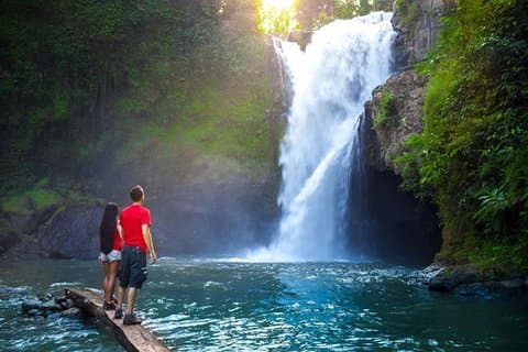 Bali Elephant Cave, Ubud, and Waterfall Private Tour with Lunch