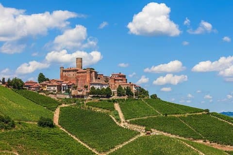 Alba Wine Tours, Private Tasting Experience around Langhe area.