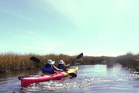 Kajakkpadling på øya (halv dag)
