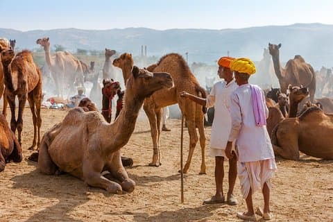 ジャイプルからアジュメールとプシュカルへのプライベート日帰り旅行
