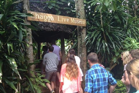 Marangu & Chagga - Kulturelle Tagestour von Moshi