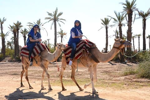 Kamelritt in der Wüste von Marrakesch