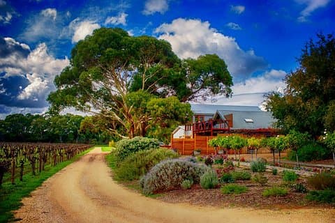 Langhorne Creek Wine Region Dagstur med lunsj fra Adelaide