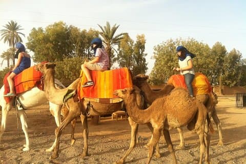 Marrakech Camel Ride Tour