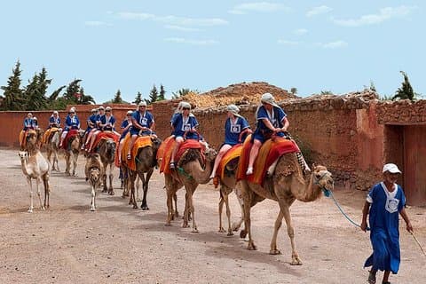 Giro in cammello al tramonto nel deserto di Agafay