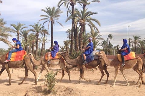 aktiviteter i Marrakech kamel ride tur i palme lund